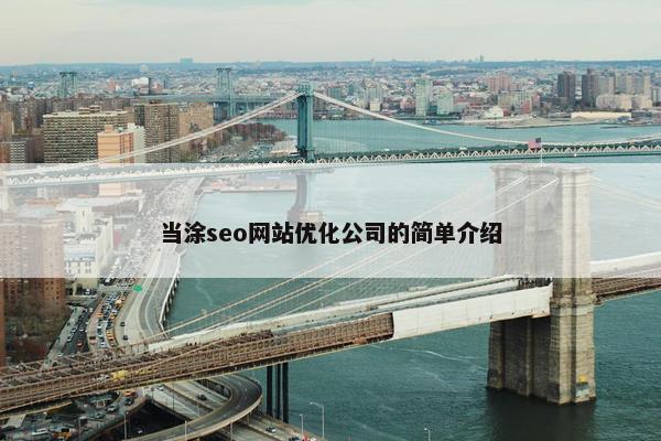 当涂seo网站优化公司的简单介绍