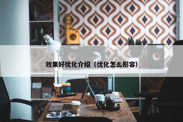 效果好优化介绍（优化怎么形容）
