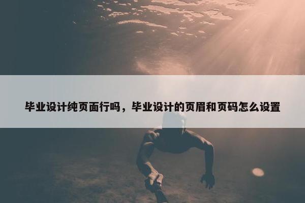 毕业设计纯页面行吗，毕业设计的页眉和页码怎么设置