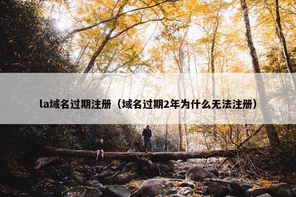 la域名过期注册（域名过期2年为什么无法注册）