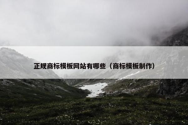 正规商标模板网站有哪些（商标模板制作）