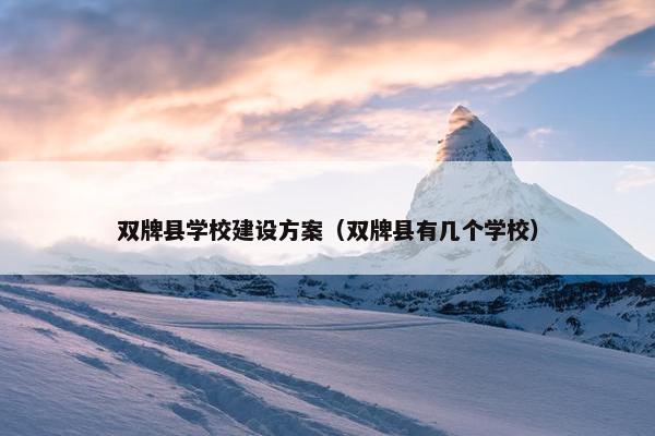 双牌县学校建设方案（双牌县有几个学校）