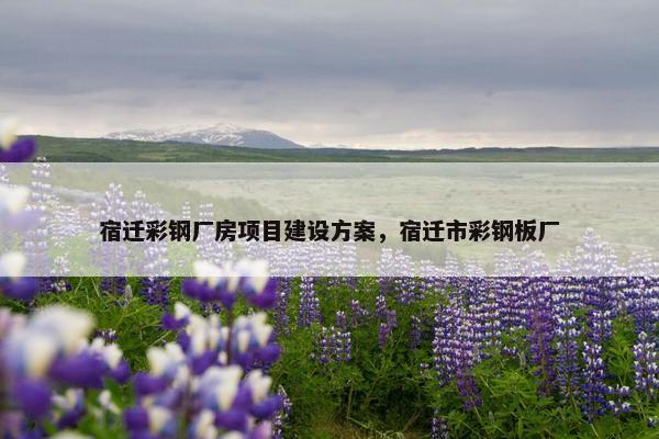 宿迁彩钢厂房项目建设方案，宿迁市彩钢板厂