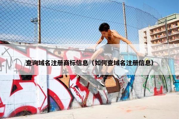 查询域名注册商标信息（如何查域名注册信息）