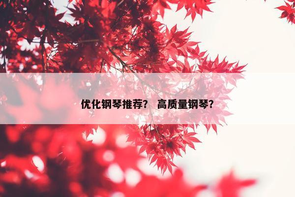 优化钢琴推荐？ 高质量钢琴？