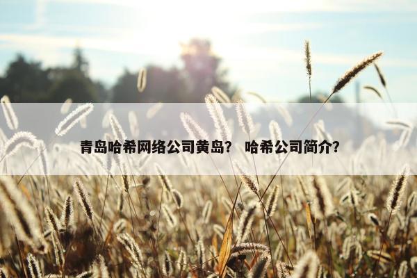 青岛哈希网络公司黄岛？ 哈希公司简介？