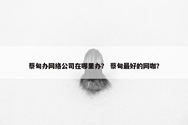 蔡甸办网络公司在哪里办？ 蔡甸最好的网咖？