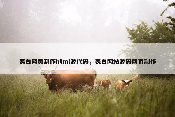 表白网页制作html源代码，表白网站源码网页制作