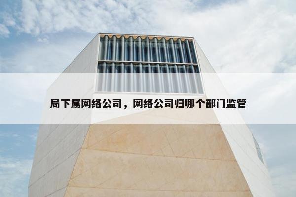 局下属网络公司，网络公司归哪个部门监管