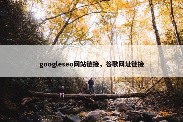 googleseo网站链接，谷歌网址链接
