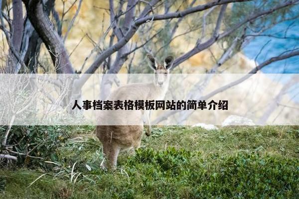 人事档案表格模板网站的简单介绍