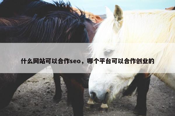 什么网站可以合作seo，哪个平台可以合作创业的