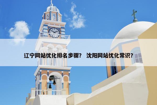 辽宁网站优化排名步骤？ 沈阳网站优化常识？