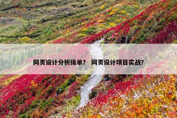 网页设计分析接单？ 网页设计项目实战？