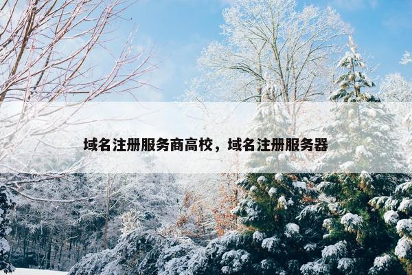 域名注册服务商高校，域名注册服务器