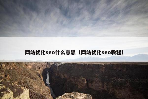 网站优化seo什么意思（网站优化seo教程）