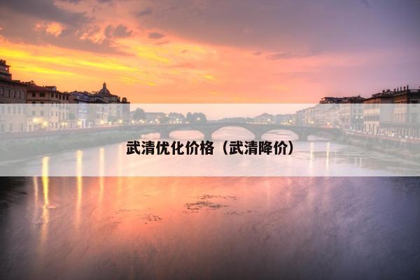 武清优化价格（武清降价）