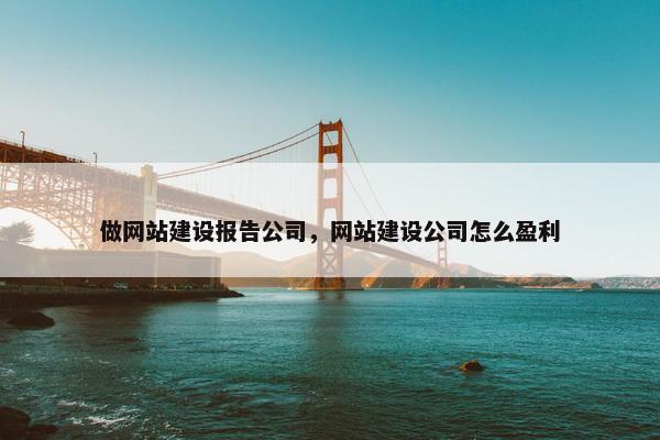 做网站建设报告公司，网站建设公司怎么盈利