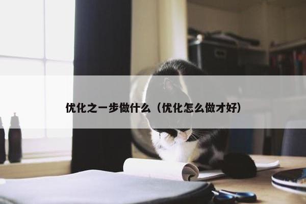优化之一步做什么（优化怎么做才好）