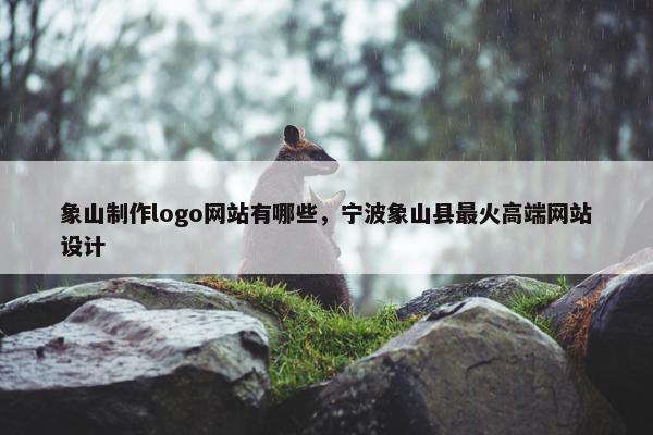 象山制作logo网站有哪些，宁波象山县最火高端网站设计