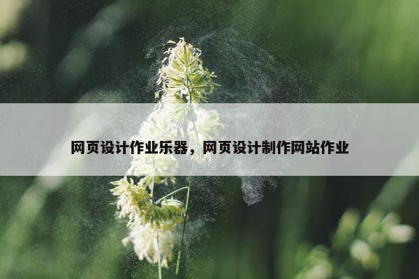 网页设计作业乐器，网页设计制作网站作业