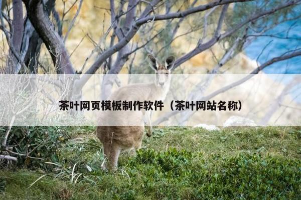 茶叶网页模板制作软件（茶叶网站名称）