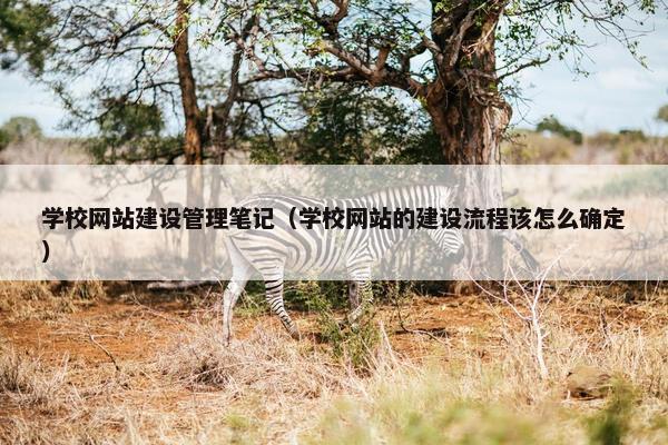 学校网站建设管理笔记（学校网站的建设流程该怎么确定）