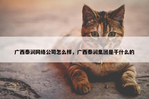 广西泰润网络公司怎么样，广西泰润集团是干什么的