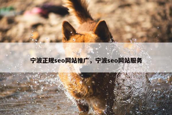 宁波正规seo网站推广，宁波seo网站服务