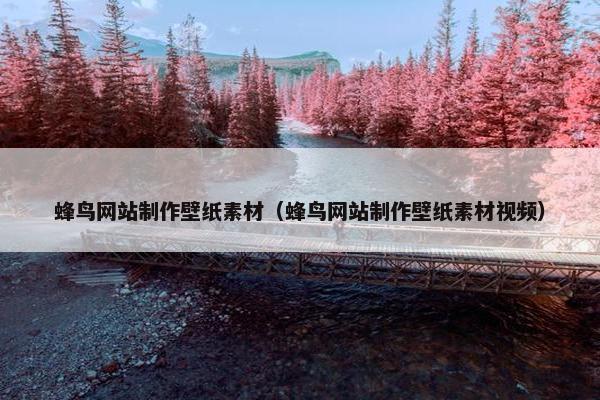 蜂鸟网站制作壁纸素材（蜂鸟网站制作壁纸素材视频）