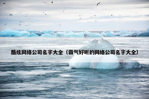 酷炫网络公司名字大全（霸气好听的网络公司名字大全）