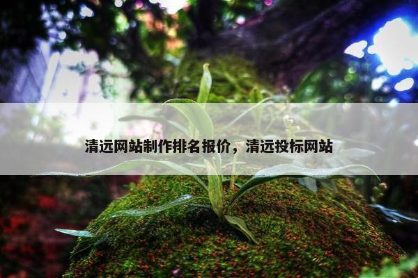 清远网站制作排名报价，清远投标网站