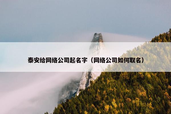 泰安给网络公司起名字（网络公司如何取名）