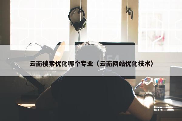 云南搜索优化哪个专业（云南网站优化技术）