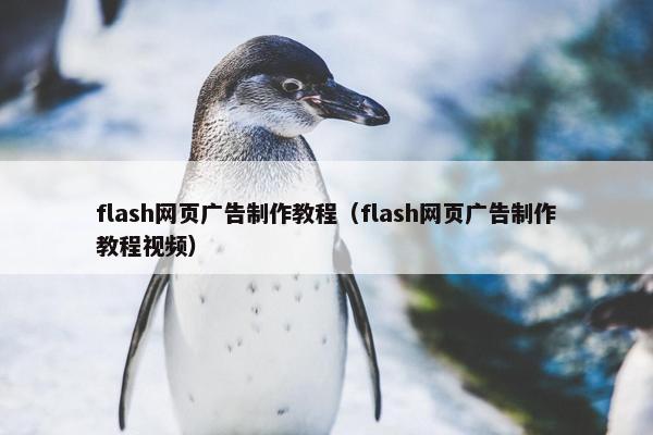 flash网页广告制作教程（flash网页广告制作教程视频）