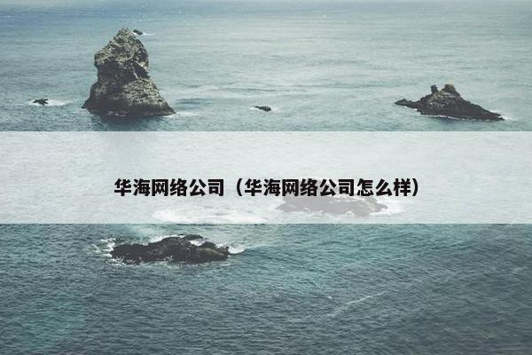 华海网络公司（华海网络公司怎么样）