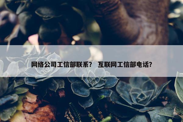 网络公司工信部联系？ 互联网工信部电话？