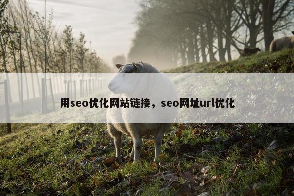用seo优化网站链接，seo网址url优化
