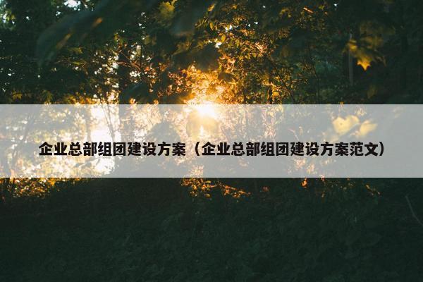 企业总部组团建设方案（企业总部组团建设方案范文）