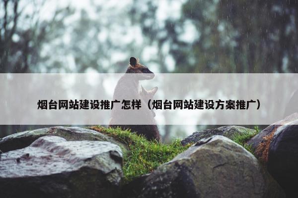烟台网站建设推广怎样（烟台网站建设方案推广）