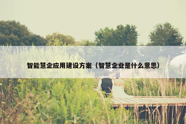 智能慧企应用建设方案（智慧企业是什么意思）