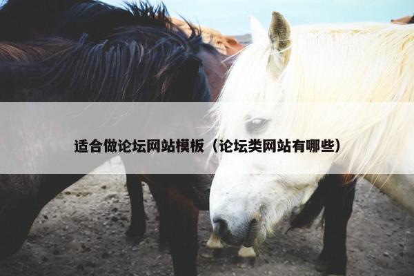 适合做论坛网站模板（论坛类网站有哪些）