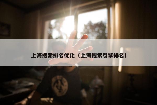 上海搜索排名优化（上海搜索引擎排名）