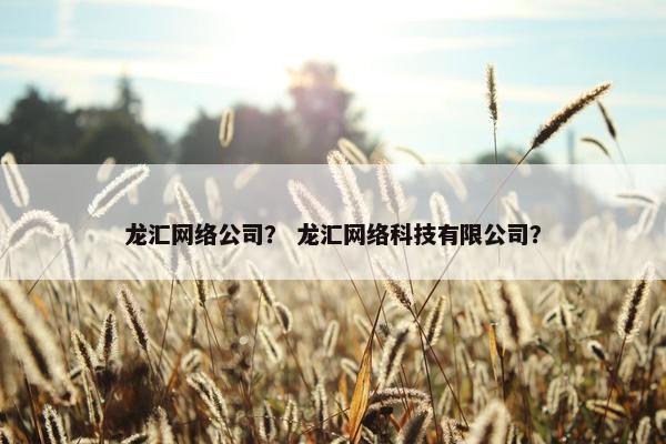 龙汇网络公司？ 龙汇网络科技有限公司？