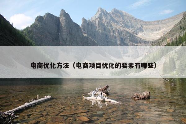 电商优化方法（电商项目优化的要素有哪些）