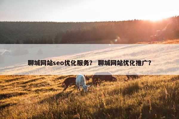 聊城网站seo优化服务？ 聊城网站优化推广？