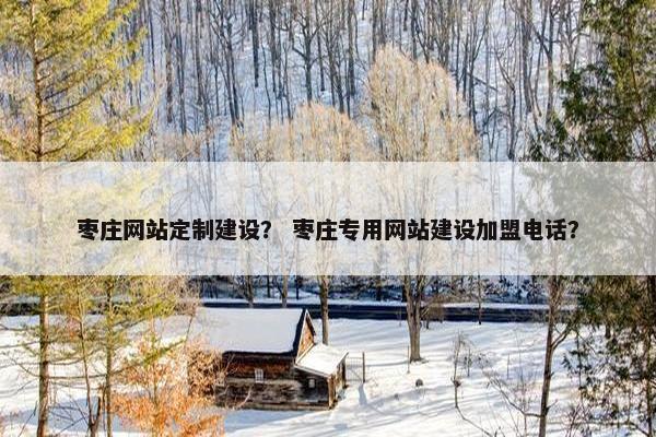 枣庄网站定制建设？ 枣庄专用网站建设加盟电话？