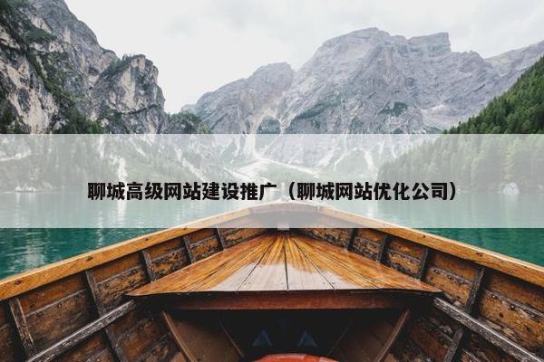 聊城高级网站建设推广（聊城网站优化公司）