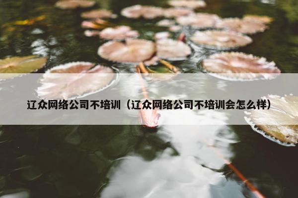 辽众网络公司不培训（辽众网络公司不培训会怎么样）