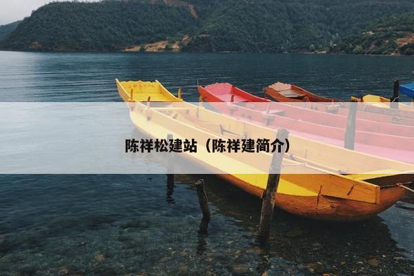 陈祥松建站（陈祥建简介）
